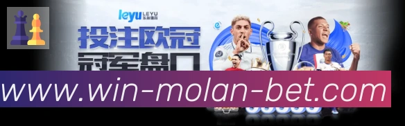 未来规划